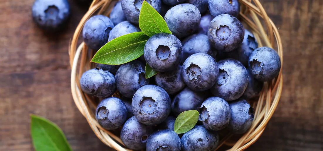 Myrtilles : un fruit aux bienfaits surprenants !